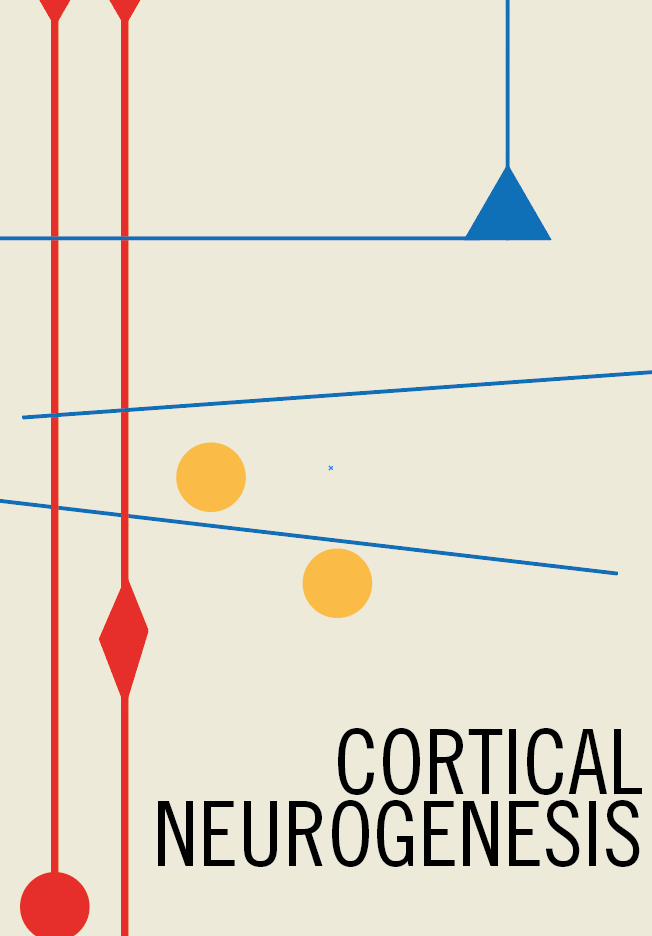 Póster estilo Bauhaus sobre neurogénesis cortical