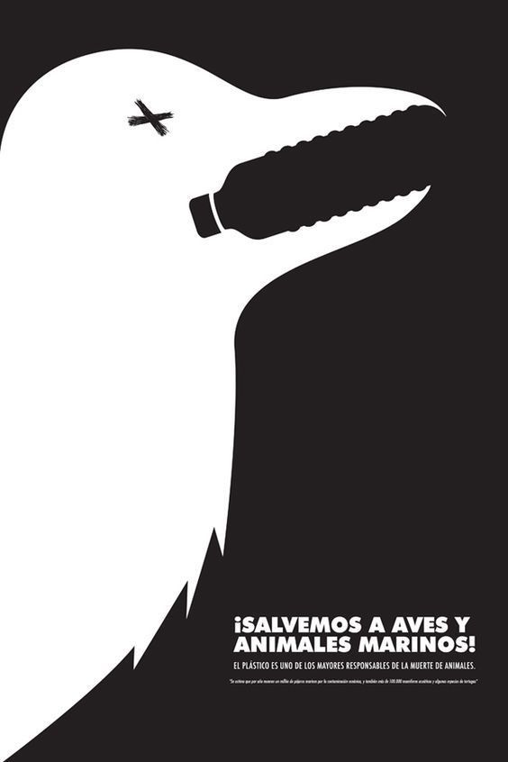 Póster sobre aves y plástico