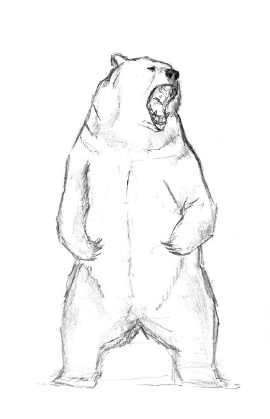 Boceto a grafito de un oso polar de pie