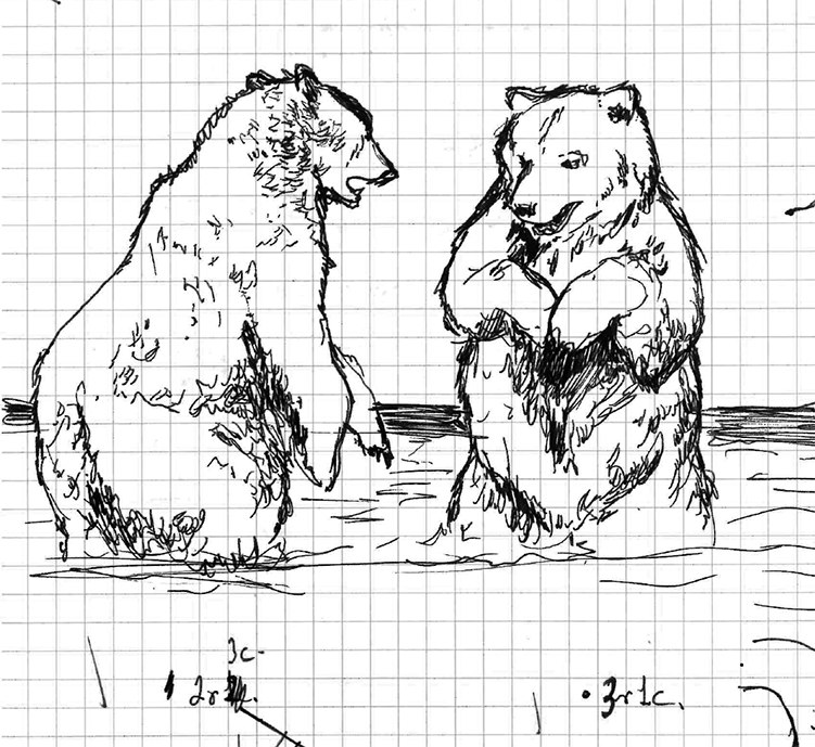 Boceto a grafito de dos osos junto al agua