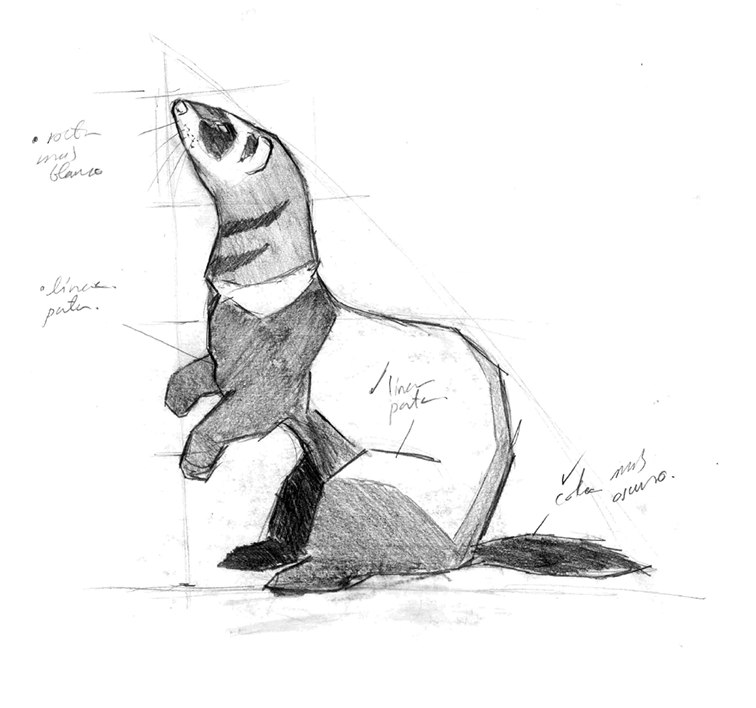 Boceto a grafito de un hurón corriendo