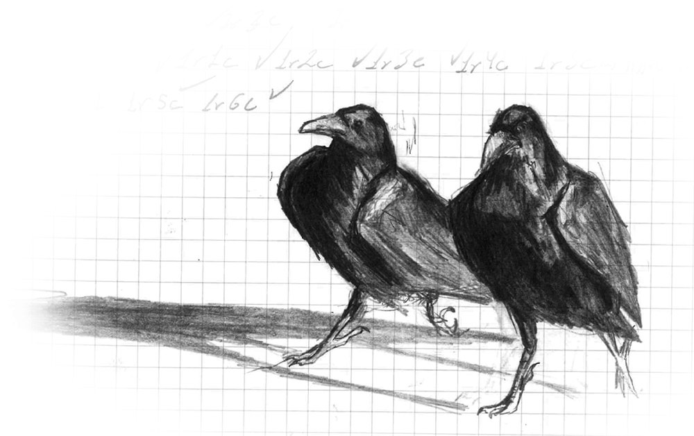 Boceto a grafito de dos cuervos