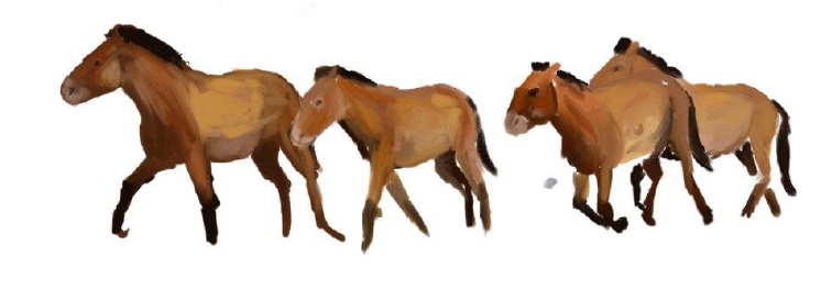 Miniaturas de caballos