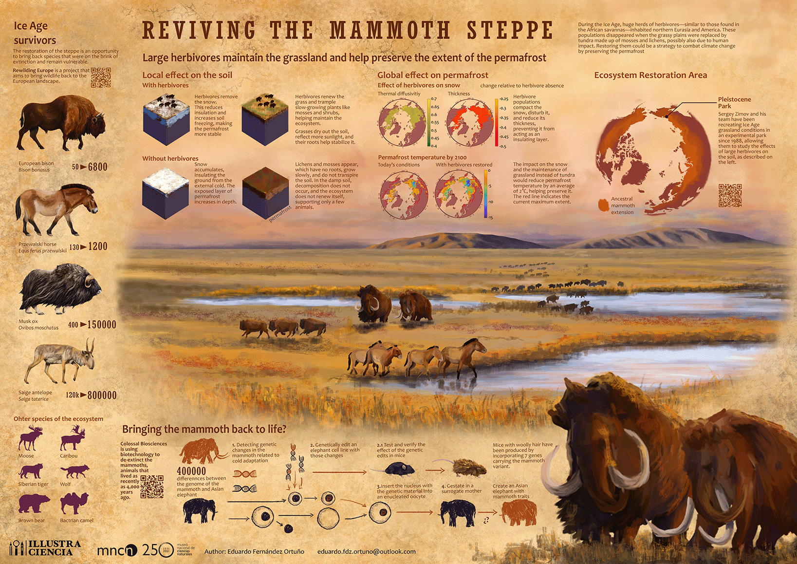 Infografía completa: Reviving the mammoth steppe