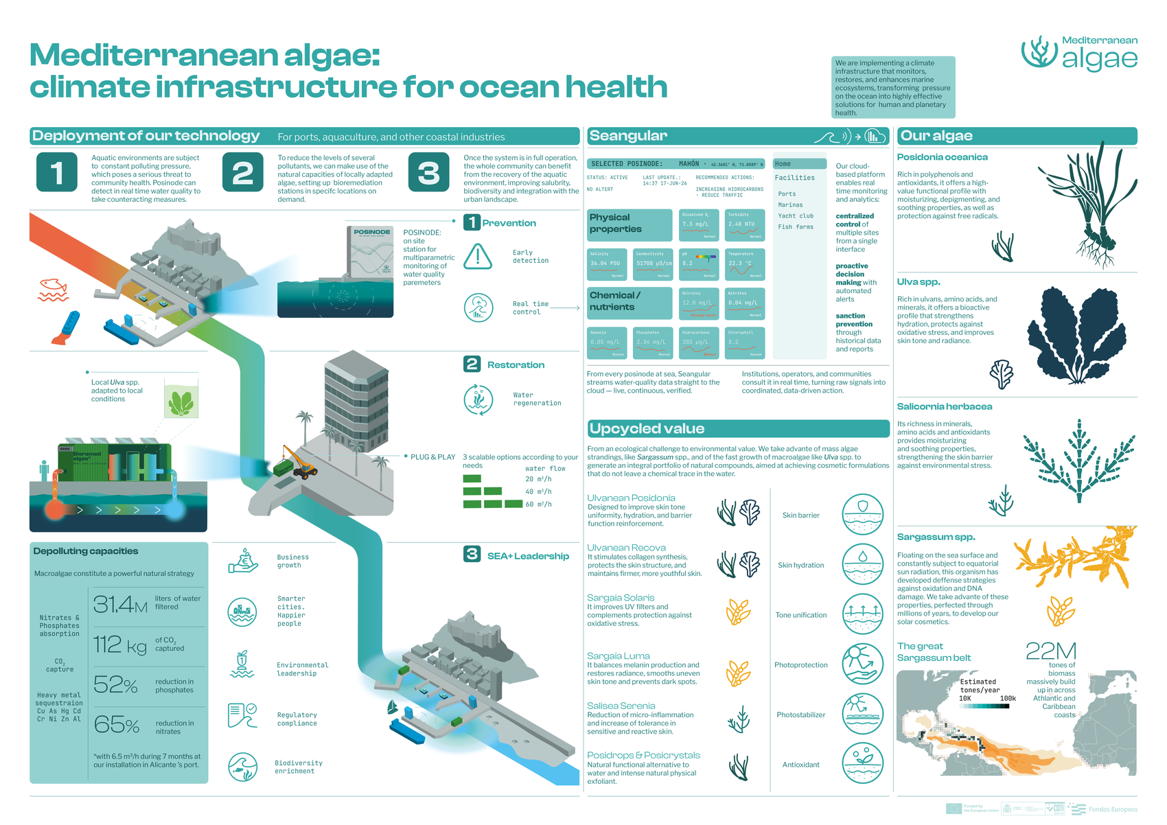 Infografía sobre la biorremediación de algas y monitorización costera