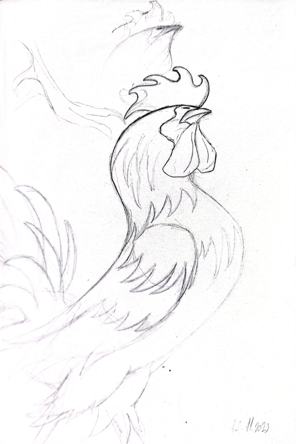 Boceto de un gallo