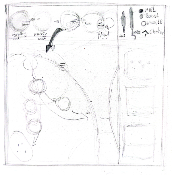 Boceto del mecanismo de Neurl1b