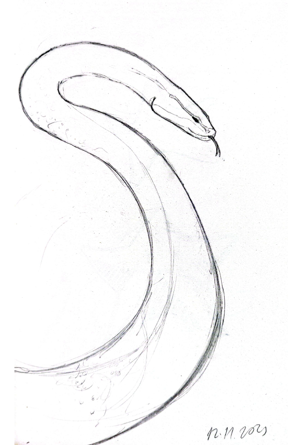 Boceto de una serpiente